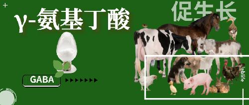 動物生長調(diào)節(jié)劑—— γ-氨基丁酸（GABA）